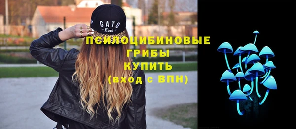 прущие грибы Алексин