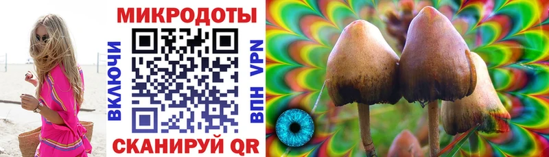 Галлюциногенные грибы Psilocybine cubensis  как найти наркотики  мориарти наркотические препараты  Оса 